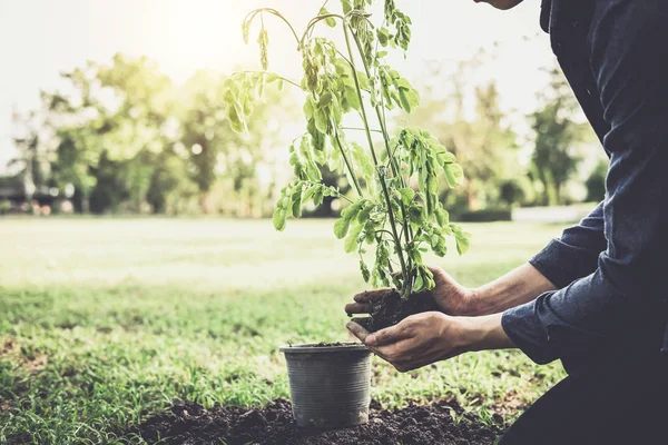 年轻人在花园里植树作为地球日 拯救世界概念 环境和生态 — 图库照片