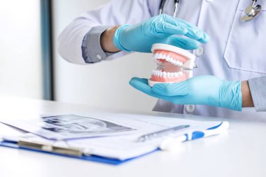 Doktor diş hekimi koruma diş diş modelini temel çalışma alanı ile röntgen filmi.