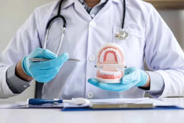 Стоматолог Рука Тримає Модель Щелепи Зубів Чистить Зуб Зубною Щіткою — стокове фото