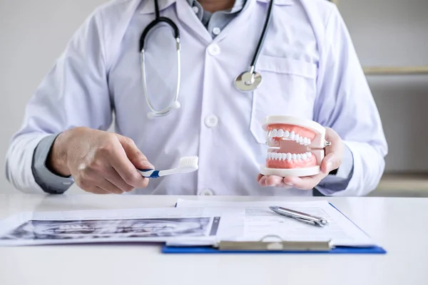 Dentista Mão Segurando Modelo Mandíbula Dentes Limpeza Dental Com Escova — Fotografia de Stock