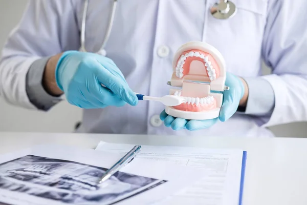 Dentista mão segurando de modelo de mandíbula de dentes e limpeza dental w — Fotografia de Stock