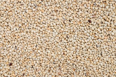 Kahve çekirdekleri güneş altında bir kahve ürün varlık önce işlem 