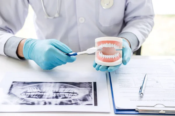 Zubař ruka drží čelist modelu zubů a čištění zubní w — Stock fotografie