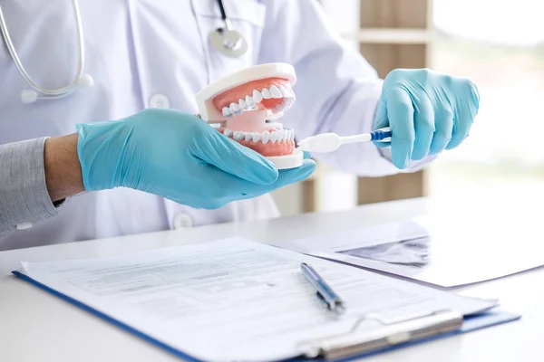 Dentysta ręki trzymającej model szczęki, zębów i czyszczenia dentystyczne w — Zdjęcie stockowe