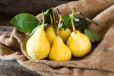 Taze olgun organik armut rustik ahşap tablo, doğal arka plan, vega, Diyet yemekleri. Sonbaharda hasat. Çanta üzerinde sulu meyveler.