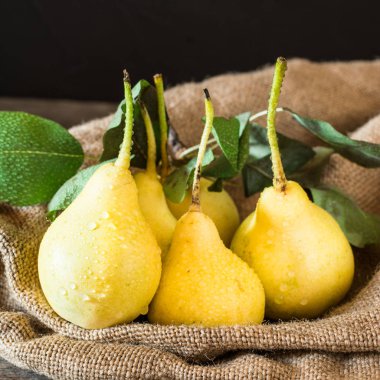 Taze olgun organik armut rustik ahşap tablo, doğal arka plan, vega, Diyet yemekleri. Sonbaharda hasat. Çanta üzerinde sulu meyveler.