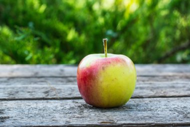 Olgun kırmızı ve sarı elma ahşap masa üzerinde. Elma bahçesinde. Vejetaryen kavramı. Sonbaharda hasat. Natürmort gıda.