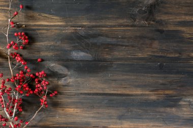 Noel arka plan kopya alanı ile. Yeni yıl süslemeleri ile arka plan. Koni, çilek, karaçalı, alıç. Kış şube. Noel kompozisyon. Tatil kompozisyon. Noel dekorasyon. Yule.