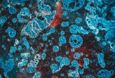 Mikroplar veya protozoa gibi görünüyor su soyutlama yüzeyinde yağ lekeleri. Yaratıcı kaba dokulu arka plan