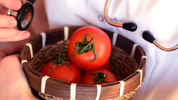 Médico Verifica Conceito Tomate Controle Qualidade Colheita Teste Alimentos Orgânicos — Vídeo de Stock