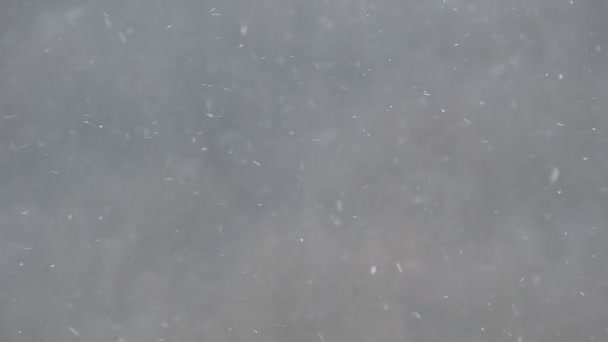 Serpihan Salju Terbang Dengan Angin Musim Dingin Hutan Yang Kabur — Stok Video