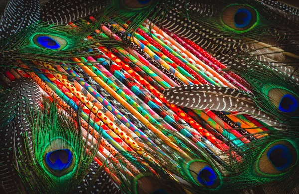 カラフルな明るい抽象的な背景を描いた棒と鳥の羽 — ストック写真