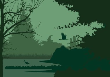Wetlands with forest and flying and standing stork, under the evening sky - vector clipart
