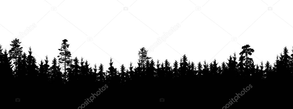 Seamless, wide silhouette of tree and forest peaks - isolated on white background, vector