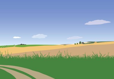 Çim, yol ve alan bulutlar ile mavi gökyüzü altında tarım arazileri vektör çizim