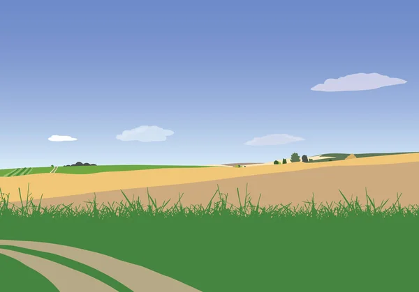 Vector Illustration Farmland Grass Path Field Blue Sky Clouds — Stock Vector