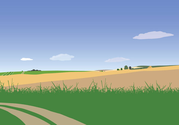 Vector illustration of farmland with grass, path and field under blue sky with clouds