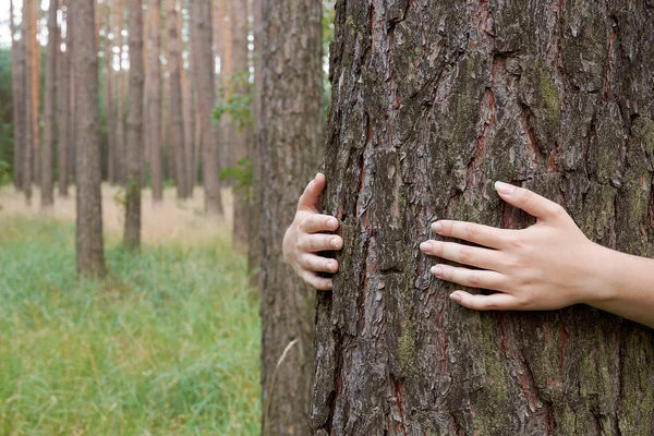 Młoda Kobieta Przytulanie Pnia Drzewa Lesie — Zdjęcie stockowe