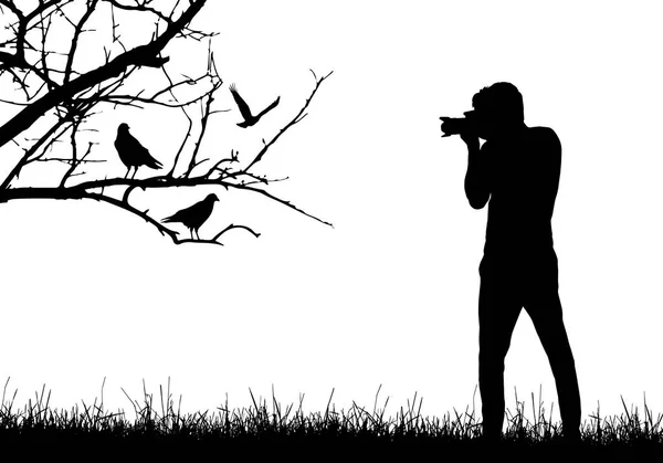 Молодой Человек Природе Фотографирует Птиц Сидящих Ветке Дерева Вектор — стоковый вектор