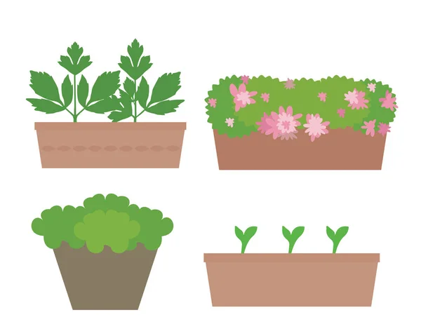 Ensemble Boîtes Plates Pots Avec Des Fleurs Des Légumes Colorés — Image vectorielle