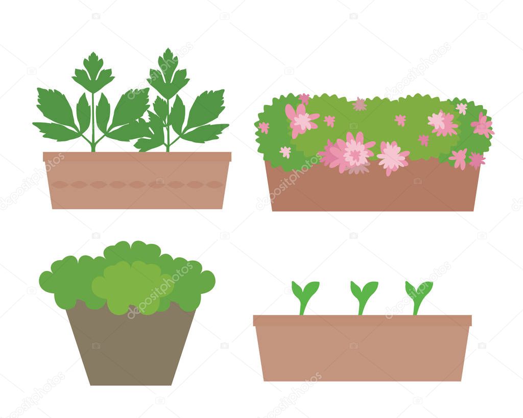 Set of flat design boxes and pots with colorful flowers and vegetables, isolated on white background - vector
