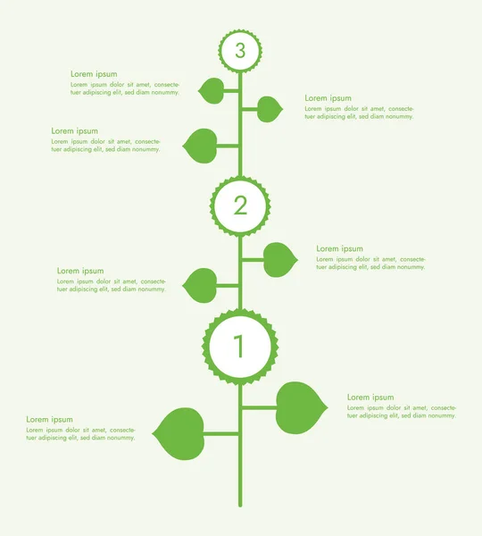 Зелена Рослина Пелюстками Квітами Простором Вашого Тексту Кроки Налаштування Інфографічний — стоковий вектор
