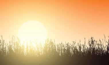 Çim çimen dikişleri, turuncu gökyüzü ve yükselen güneş illüstrasyon vektör, güneş ışığı - metin için yer ile aydınlatma