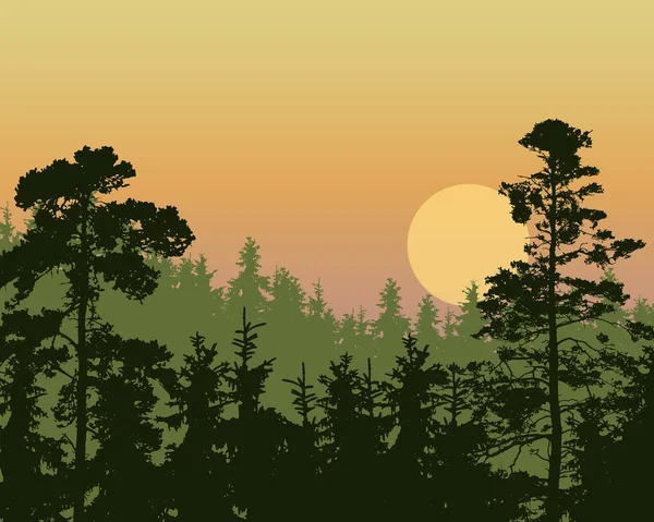 Ilustración Vectorial Denso Bosque Verde Coníferas Una Colina Bajo Cielo — Vector de stock