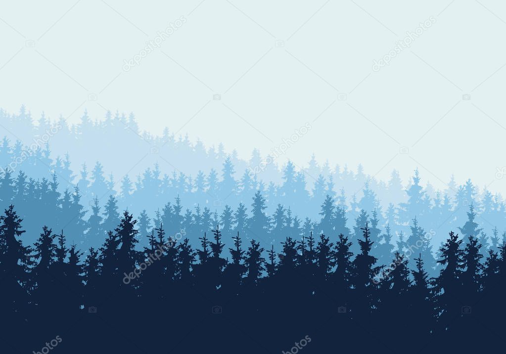 Vector realistic illustration of coniferous forest with blue trees and spruces in multiple layers, under winter sky and mist. Horizontal with space for text