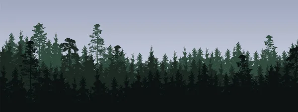 Широкий Екран Векторна Ілюстрація Зеленого Хвойного Лісу Ялинами Соснами Трьох — стоковий вектор