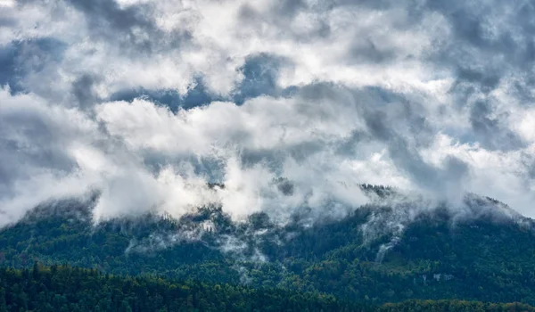 Θέα Βουνό Τοπίο Στην Αυστρία Κωνοφόρα Δάση Στην Ομίχλη Και — Φωτογραφία Αρχείου