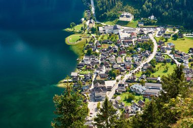 Üstten görünüm Gölü ve Alpler orman dibinde Hallstatt