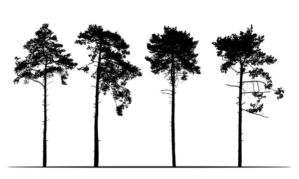 Conjunto Siluetas Realistas Árboles Coníferas Vector Aislado Sobre Fondo Blanco — Archivo Imágenes Vectoriales