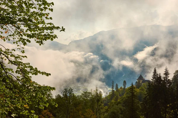 Bos Een Heuvel Tussen Bergen Boven Hallstatt Oostenrijk Met Wolken — Stockfoto