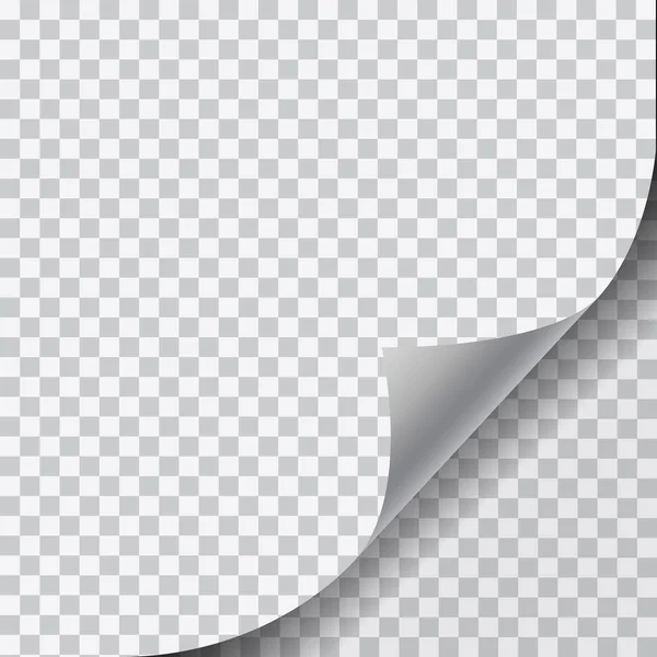 リアルなイラスト ベクトルの丸まった角と影に透明な背景に 空白のページの — ストックベクタ