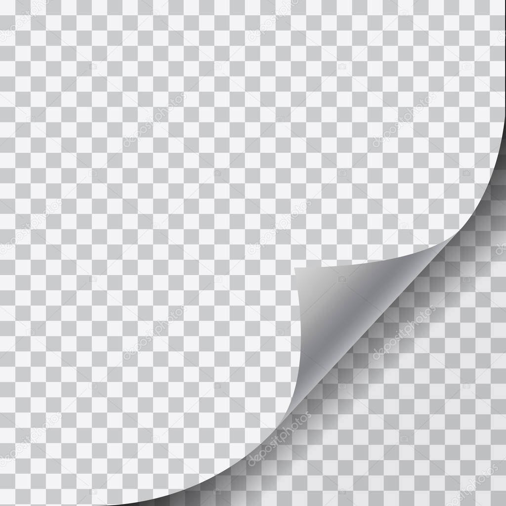 Realistic illustration of a blank white page with curled corner and shadow on transparent background - vector