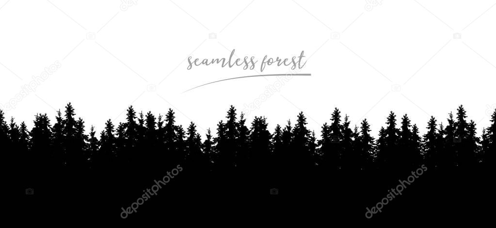 Realistic seamless illustration of silhouettes of coniferous spruce or fir forest, isolated on white background - vector