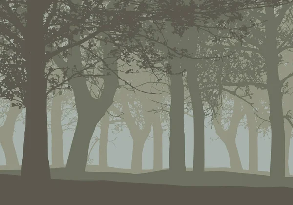 Ρεαλιστική Απεικόνιση Του Ένα Βαθιά Δάσος Φυλλοβόλων Δέντρων Και Ομίχλη — Διανυσματικό Αρχείο