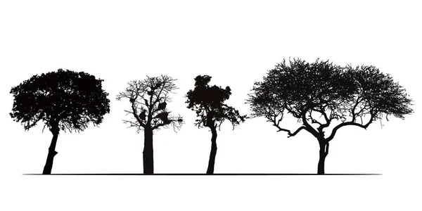 白背景に分離されたアフリカの木のシルエットのベクター — ストックベクタ