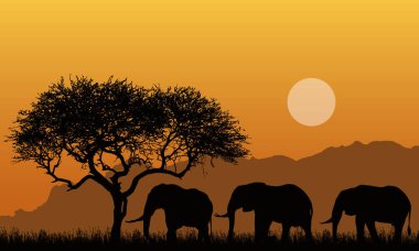 Dağ manzarası, ağaç, ot ve üç Filler ile Afrika safari siluetleri Illustration. Aşağıda turuncu gökyüzü güneş - vektör