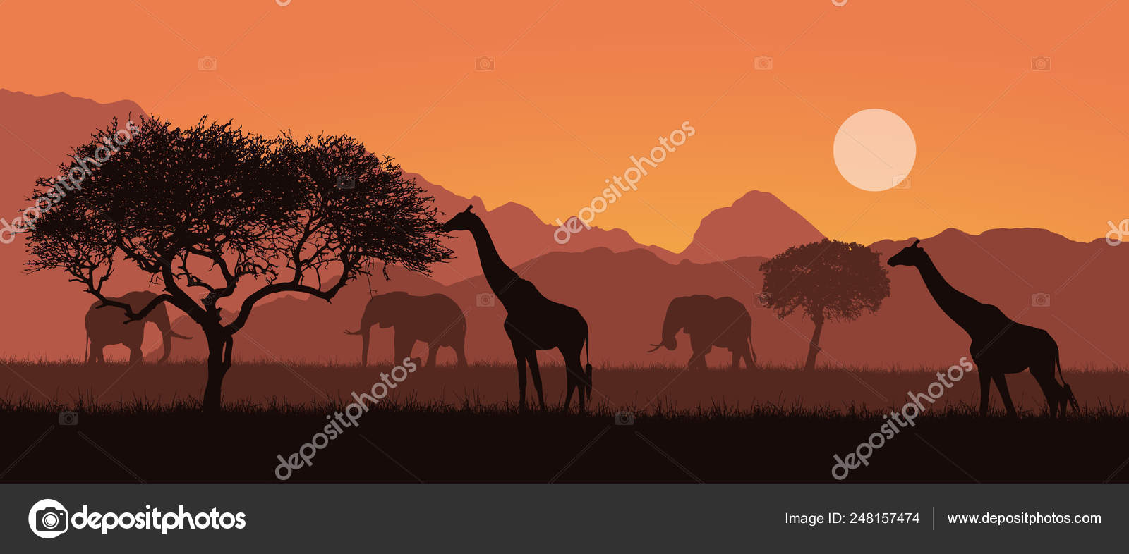 Fauna del sur de Luangwa: ¿Qué animales podrá ver?, image size:1600x786