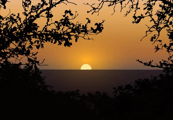 Ilustración realista de la puesta de sol en el cielo naranja de la noche. Silueta de ramas de árboles y paisaje con bosque en el fondo - vector — Vector de stock