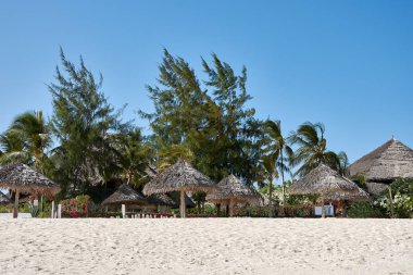 Kenya'da tatil. Afrika Watamu alanda deniz kıyısında plaj sahil şeridine.