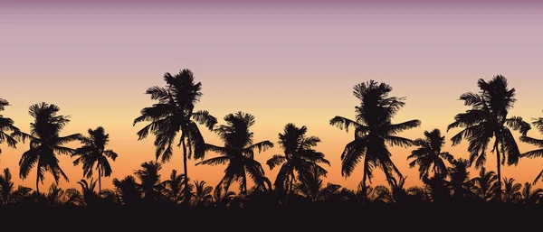 Silhouette realistica delle cime degli alberi, palme nel paesaggio tropicale, con cielo arancio-rosa mattutino e con spazio per il testo - vettore — Vettoriale Stock