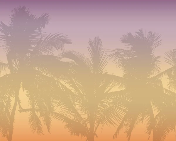 Μοτίβο ή φόντο με ρεαλιστική σιλουέτα της κορυφές των δέντρων, τροπικούς φοίνικες, δέντρα, με πρωί πορτοκαλί-ροζ ουρανός και με χώρο για κείμενο - διάνυσμα — Διανυσματικό Αρχείο