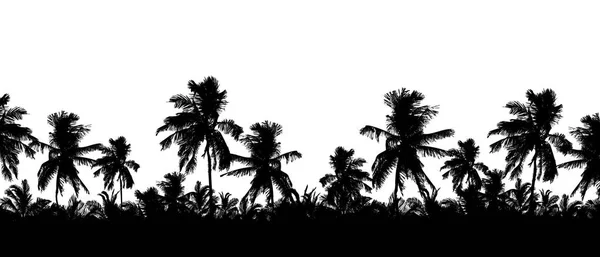 Modello o sfondo con silhouette realistica di cime di alberi, palme tropicali, isolato su sfondo bianco con spazio per il testo vettoriale — Vettoriale Stock