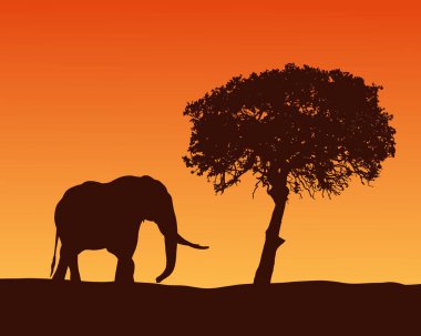 Filin Afrika Safari gerçekçi illüstrasyon siluet ile. Akasya ağacı ile şafak - turuncu gökyüzünün altında vektör