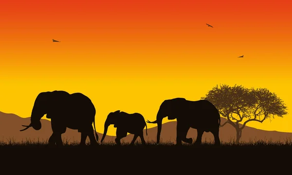 Illustration réaliste du paysage africain avec safari, arbres et famille d'éléphants sous un ciel orange avec soleil levant. Montagnes avec des oiseaux volants en arrière-plan - vecteur — Image vectorielle