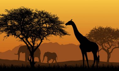 Dağ peyzaj, ağaçlar ve fil ve zürafa ile Afrika Safari gerçekçi Illustration. Yükselen güneş ile turuncu gökyüzü altında-vektör