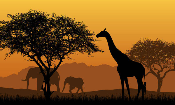 Realistic illustration of African safari with mountain landscape, trees and elephant and giraffe. Under the orange sky with rising sun - vector